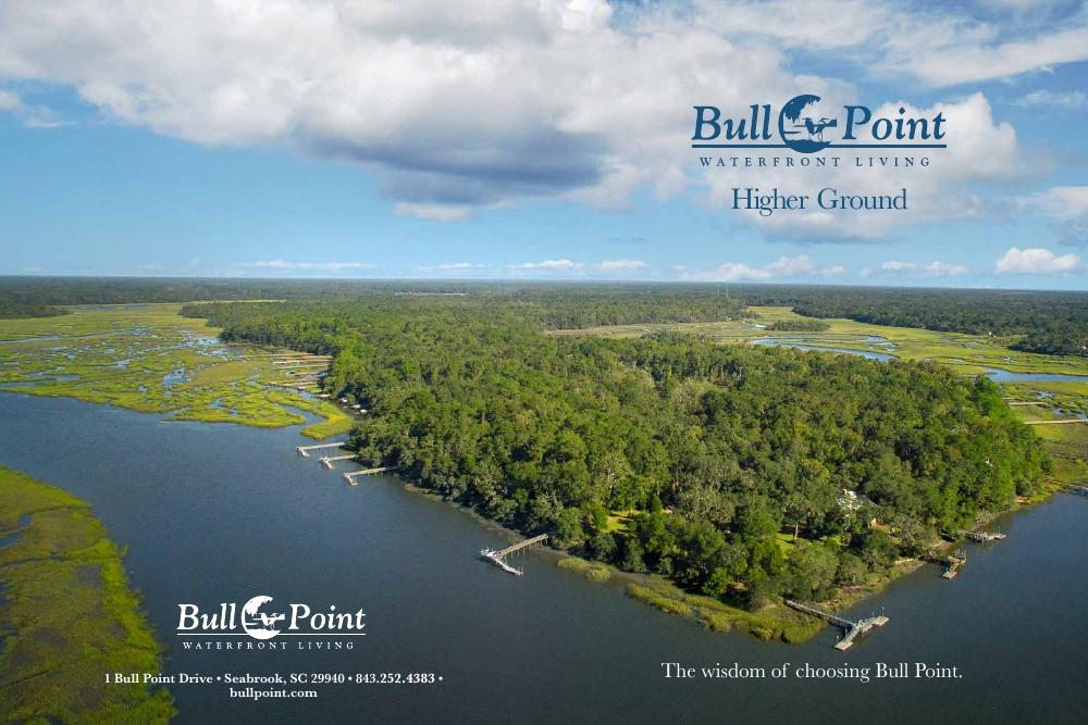 Bull Point development Brag Book cover
