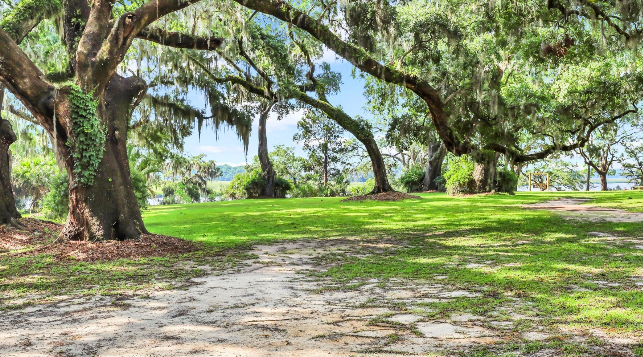 Bull Point community photograph accompanying A moment at William Bull Park.
